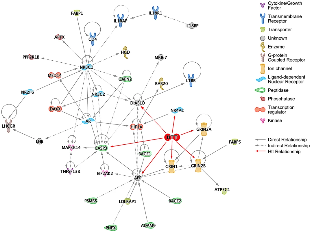Ingenuity Pathway Analysis (IPA) of HD Suppressor Genes.
