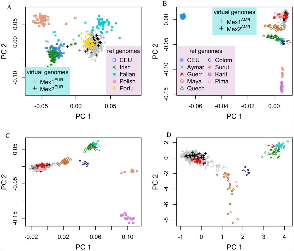 Population structure within the European and Indigenous American components of Mexican genomes.