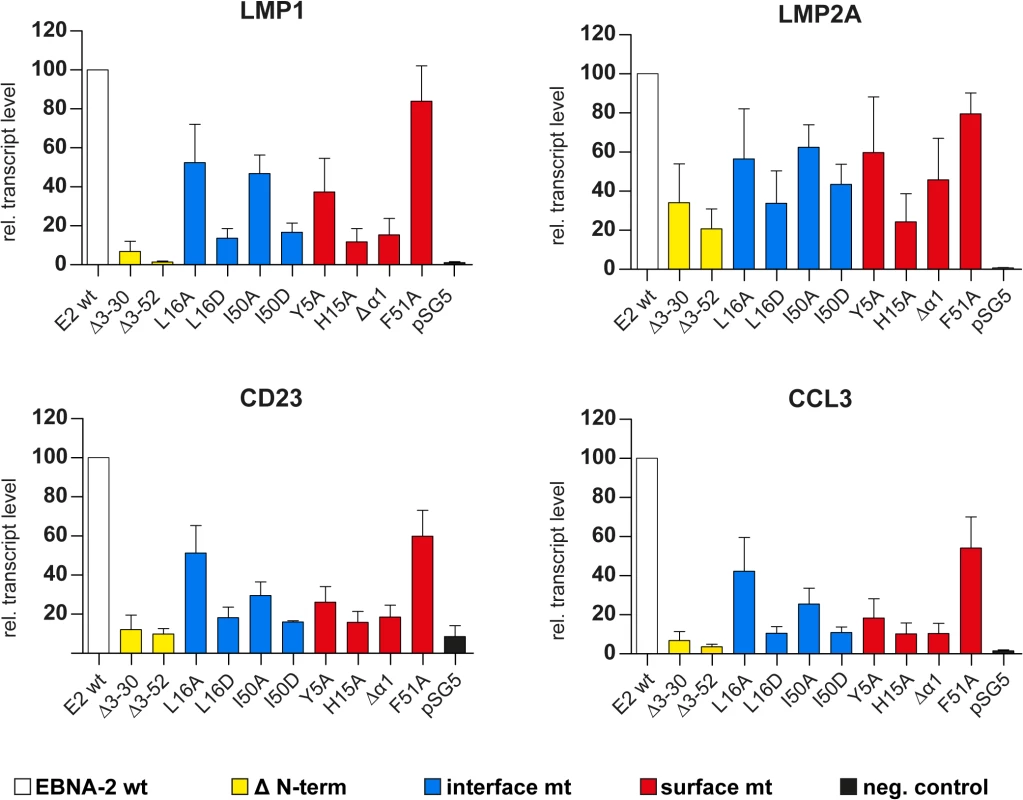 Transcriptional activation of endogenous viral and cellular target genes by END domain mutants.