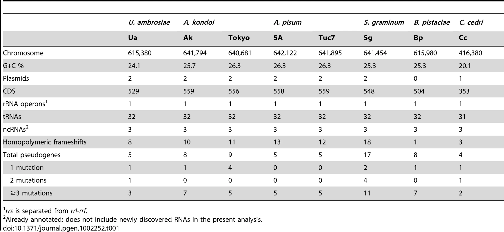 Features of completed <i>Buchnera aphidicola</i> genomes.