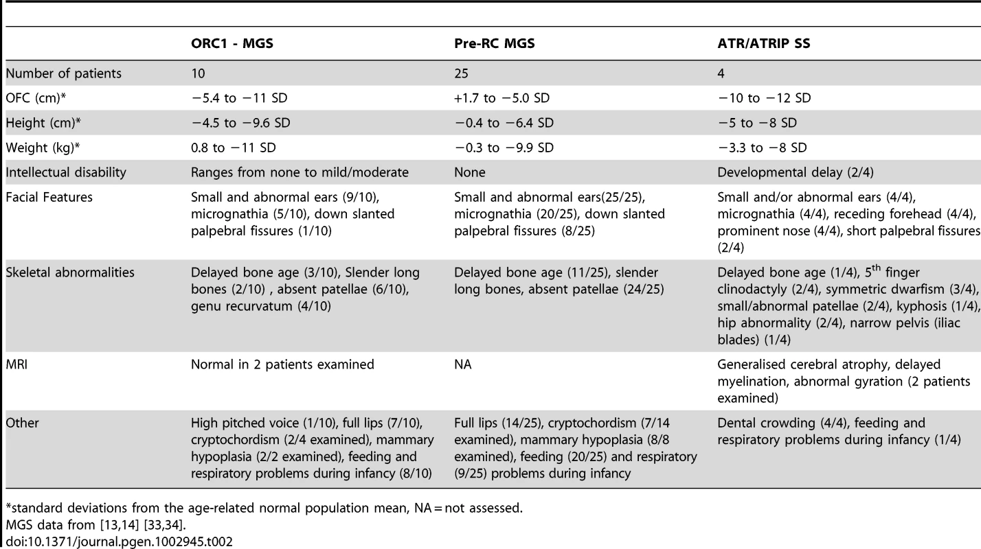 MGS and Seckel syndrome patient phenotypes.