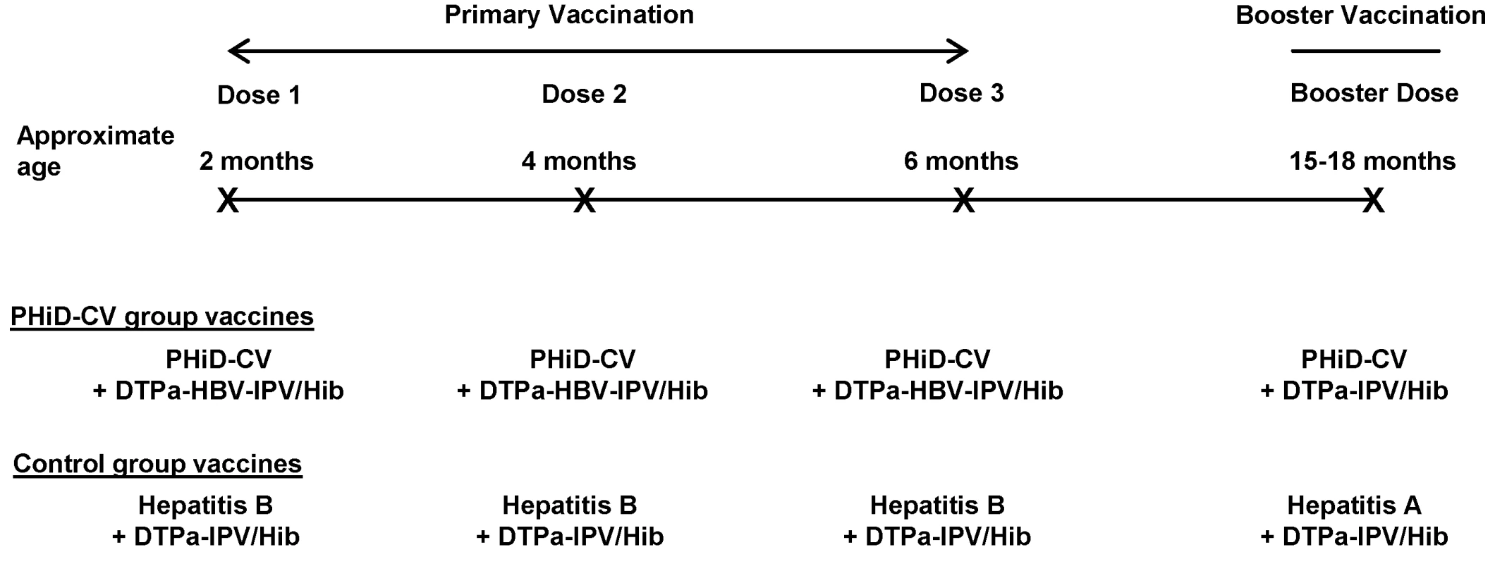 Vaccination schedule.