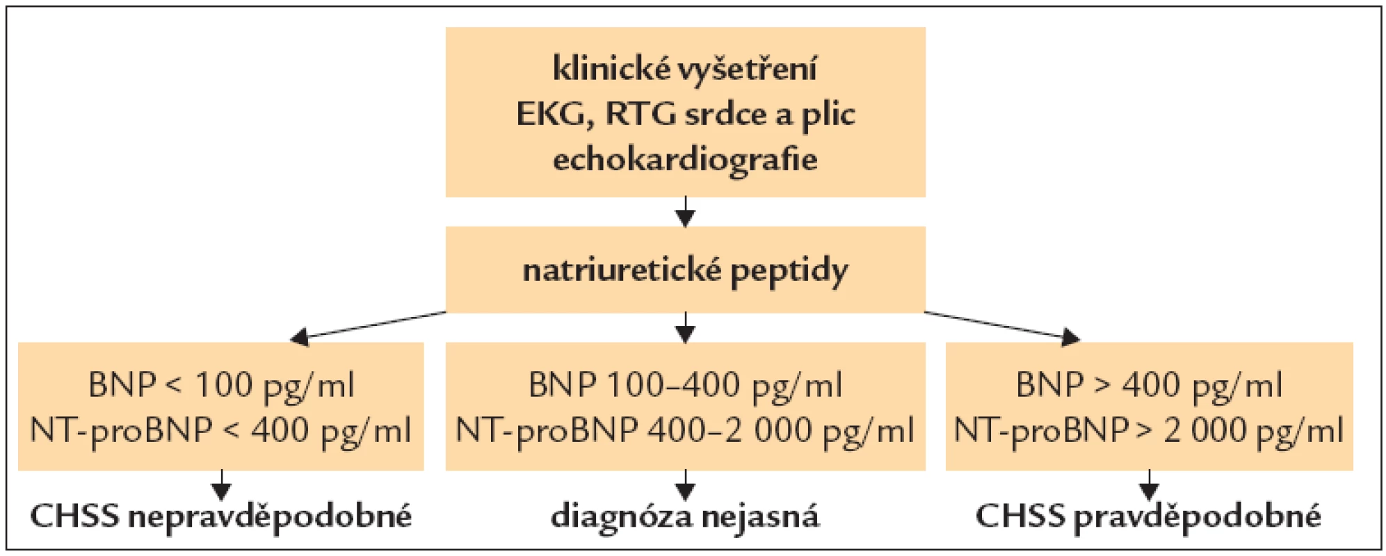Diagnostika CHSS pomocí natriuretických peptidů.