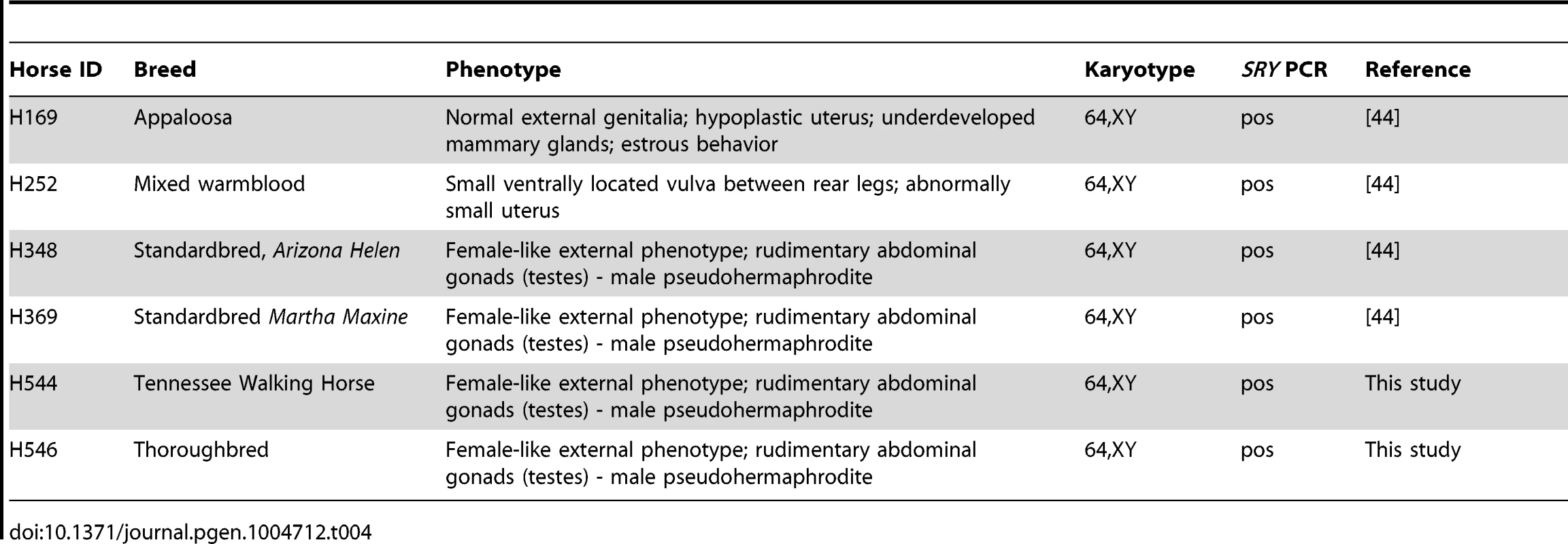 Horses with <i>SRY</i>-positive XY DSDs analyzed in this study.