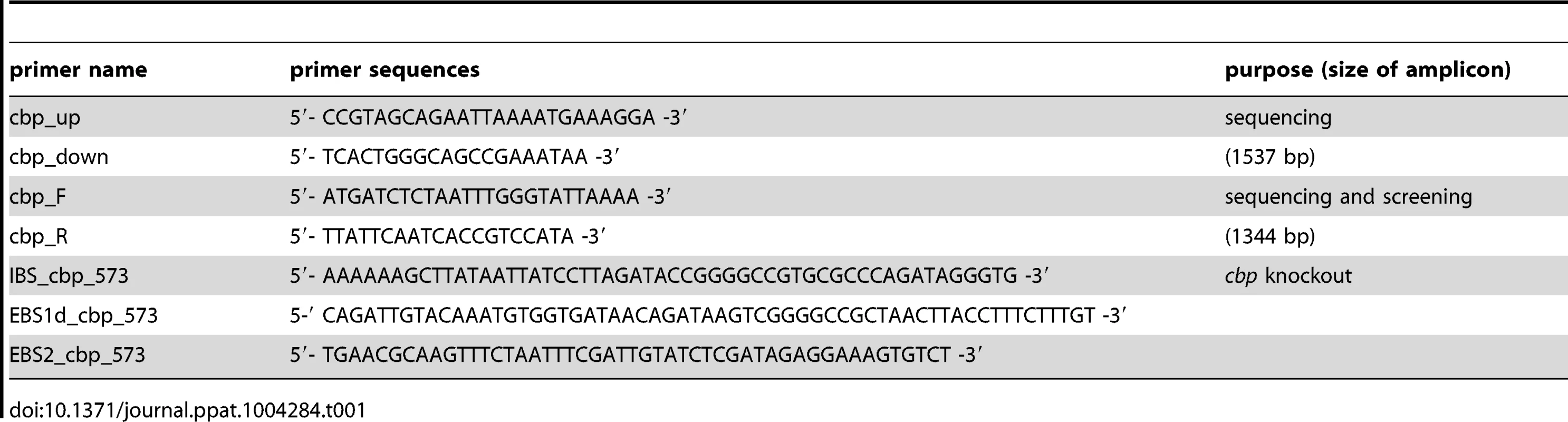 Primers used for sequence analysis of <i>cbp</i>49, screening of <i>P. larvae</i> isolates for <i>cbp</i>49, and construction of gene knockouts in <i>P. larvae</i> ATCC9545 (ERIC I) and DSM25430 (ERIC II).