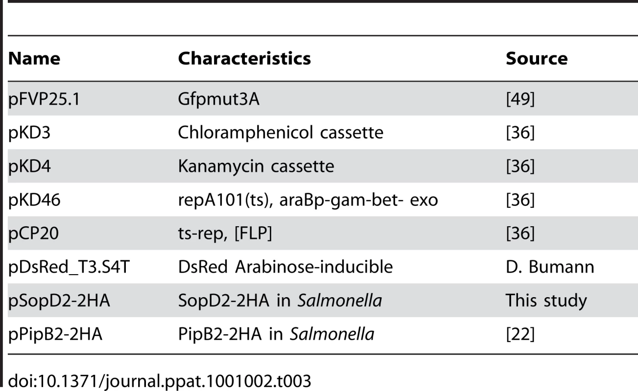 Plasmids used in this study.