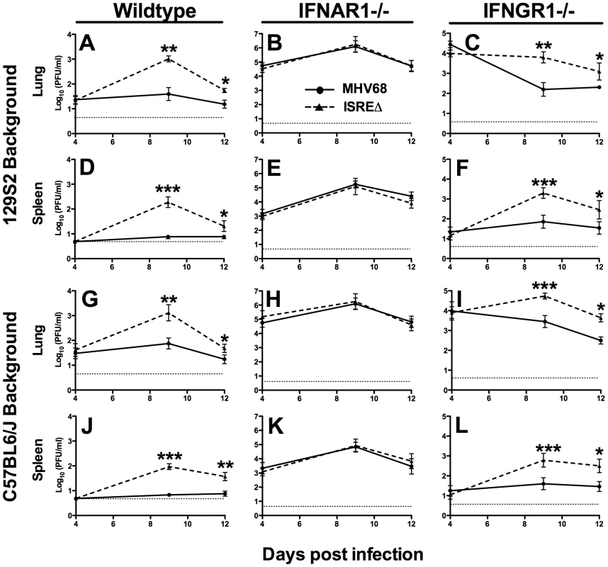 The M2 ISRE represses lytic replication <i>in vivo</i> via a mechanism that requires IFNAR1.