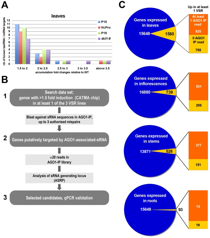 VSRs incur modest yet consistent expression changes to known miRNA and ta-siRNA target transcripts in Arabidopsis.