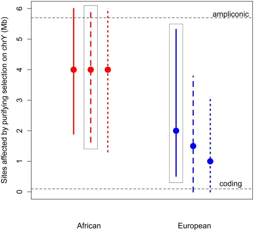 Estimates of the number of sites affected by purifying selection (<i>L</i>) on chromosome Y.