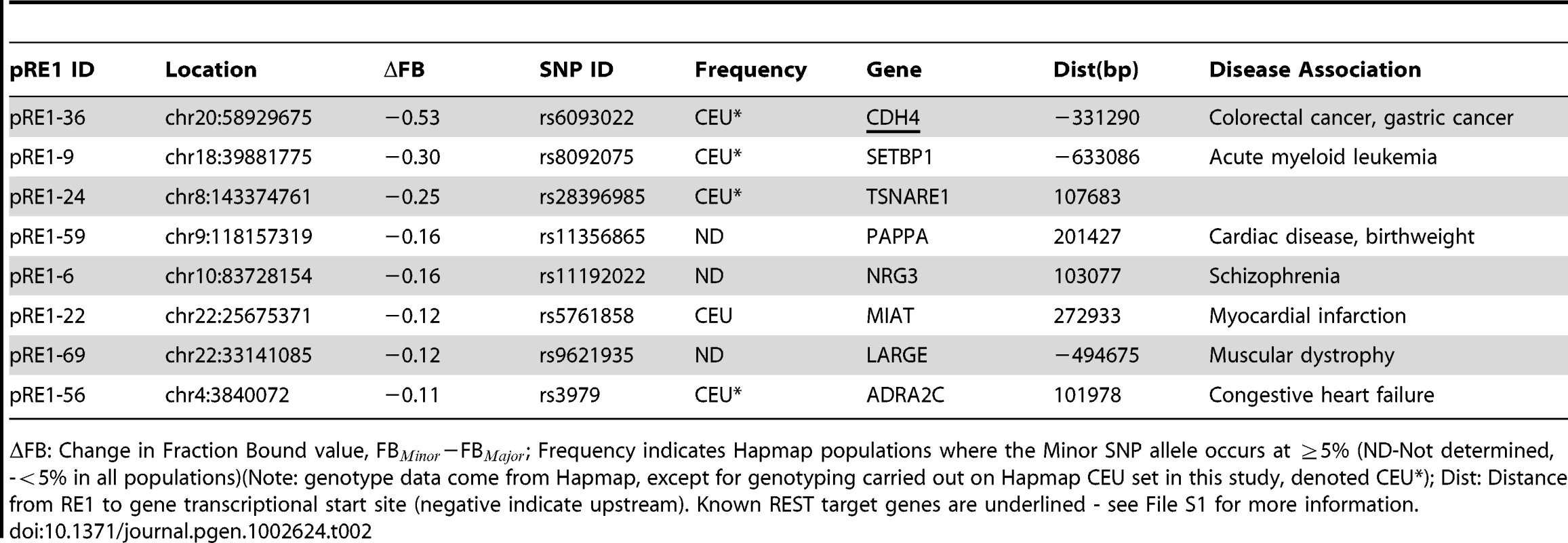 Polymorphic RE1s where the minor allele has increased affinity.