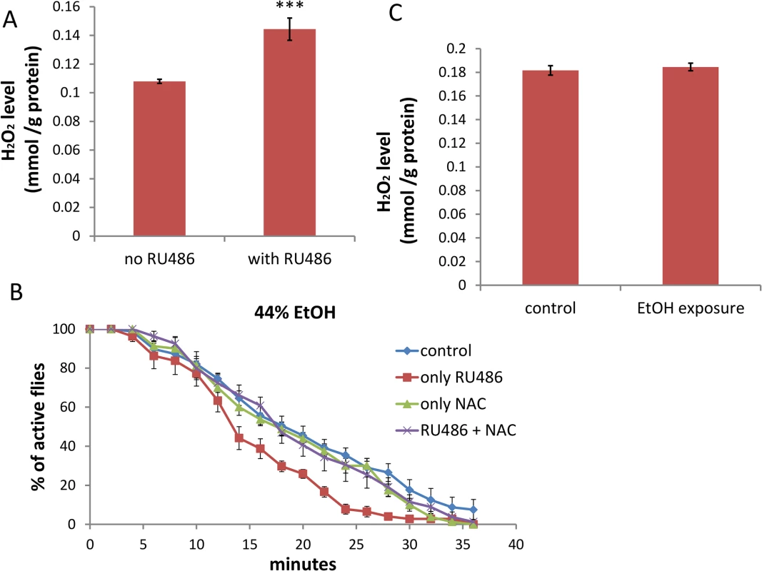 Depletion of dTSPO in neurons increases ROS which is necessary to sensitize flies to ethanol sedation.