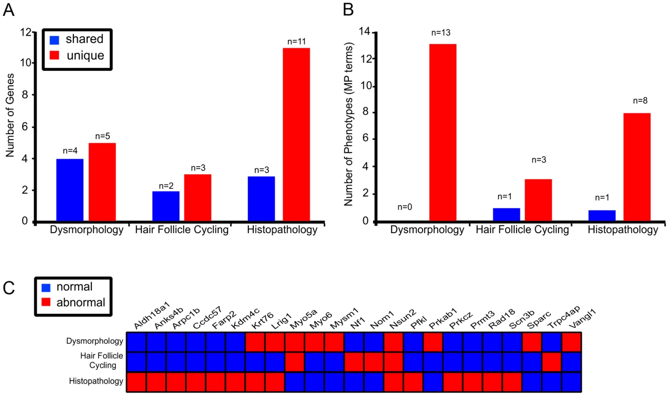 Multi parameter, multi test, organ specific screens add to the number of genes identified in skin biology.