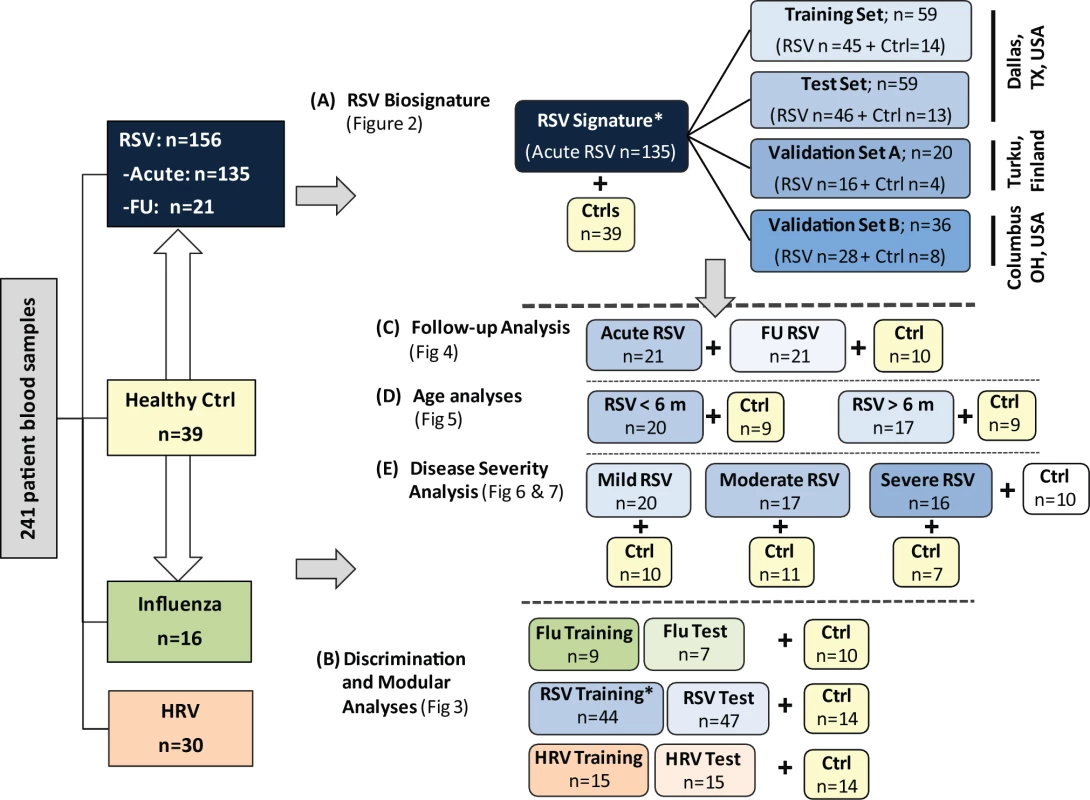 Flow diagram of study patients.