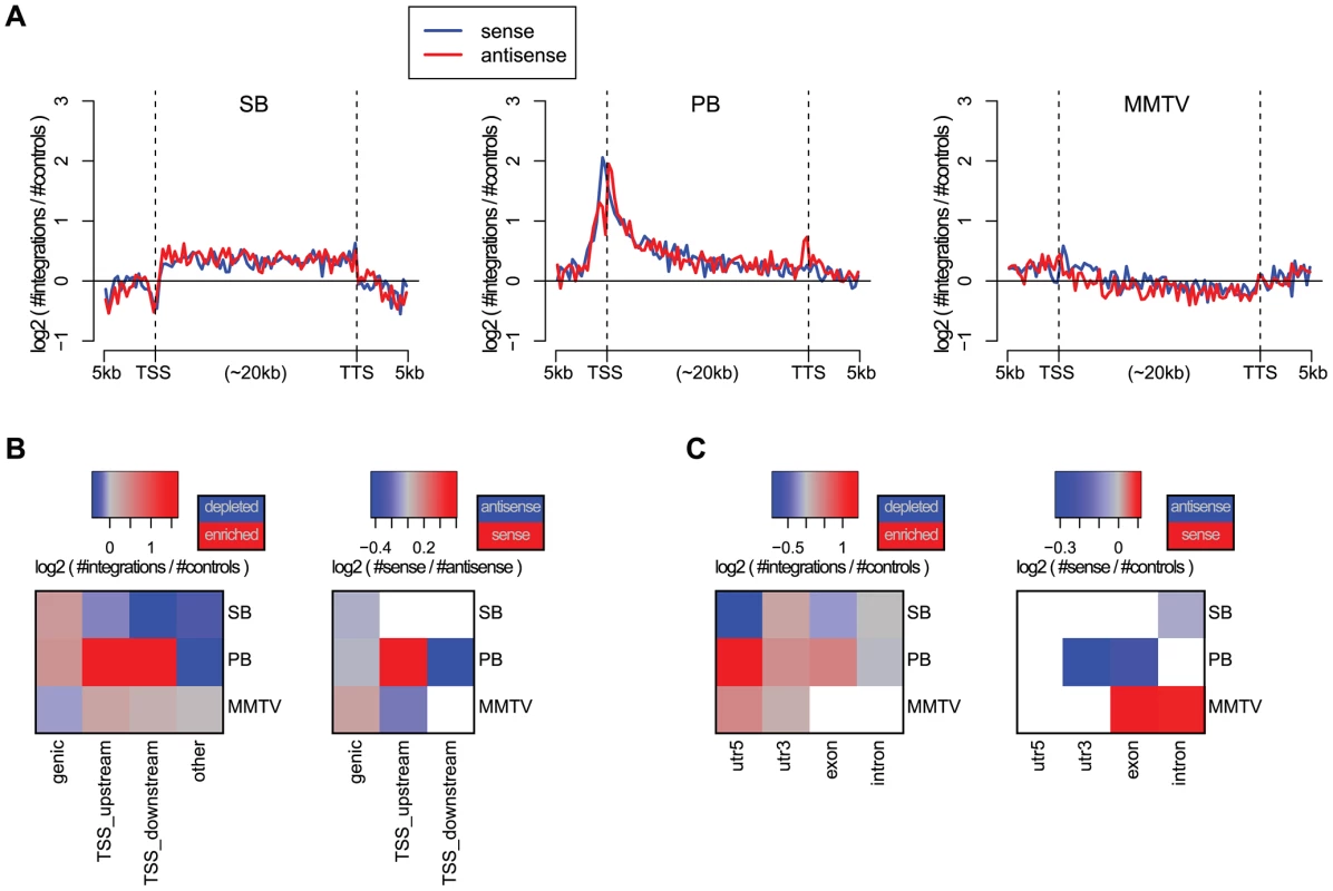 Biases with respect to genes and transcripts.