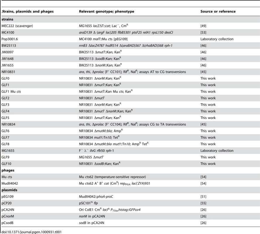 Bacterial strains, plasmids and phages used in this study.