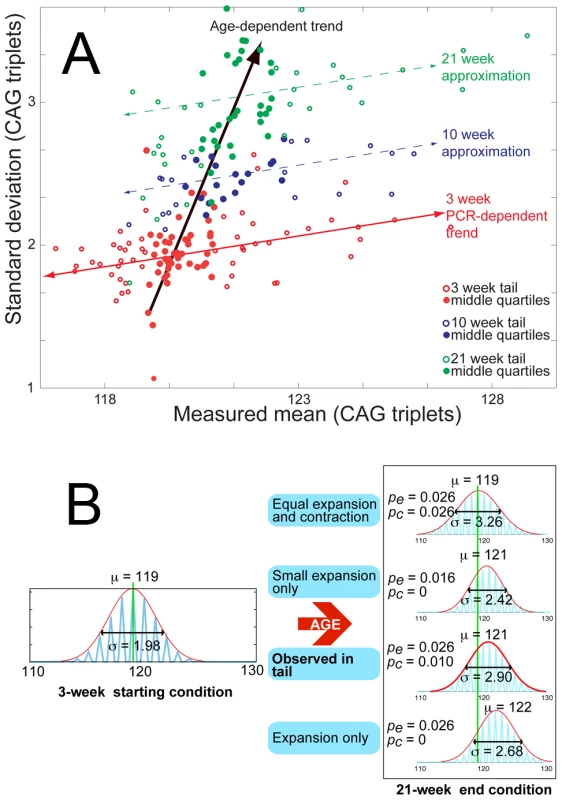 Age-dependent increase in mean and standard deviation for tail tissue.