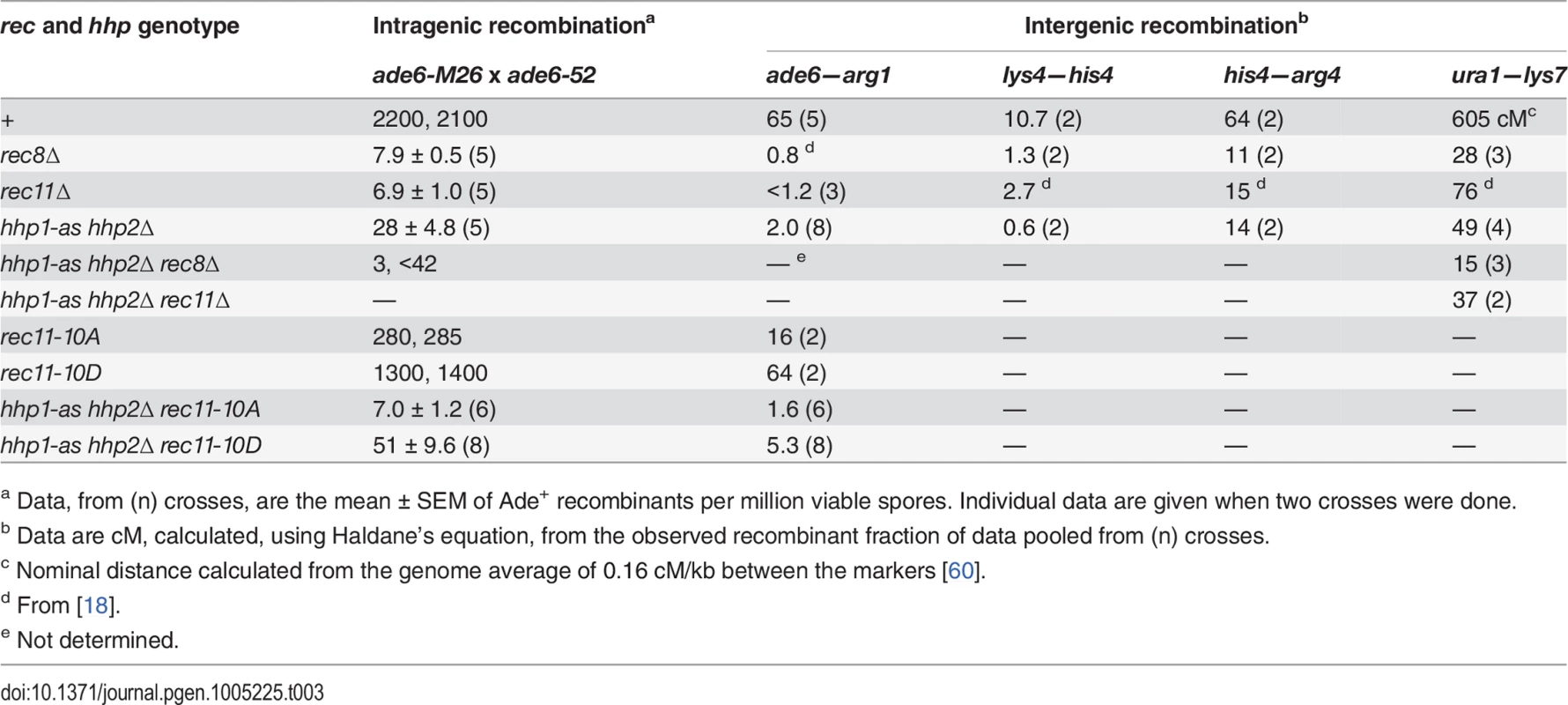 Recombination defects in <i>hhp1-as hhp2∆</i> and <i>rec11</i> phosphorylation-site mutants resemble those in <i>rec8∆</i> and <i>rec11∆</i> mutants, and phosphomimetic <i>rec11</i> mutation partially suppresses <i>hhp1-as hhp2∆</i>.