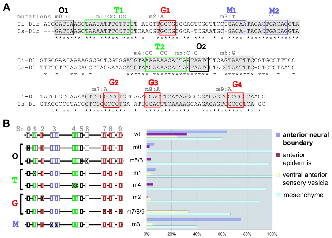Mutational analysis of D1(bcde) reveals at least three binding sites necessary for its activity.