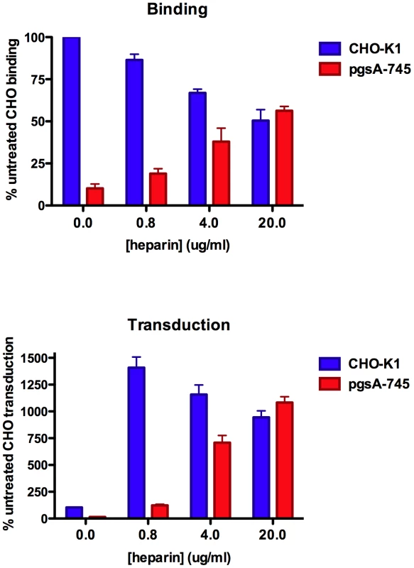 Enhancement of MCV binding and infection by exogenous heparin.