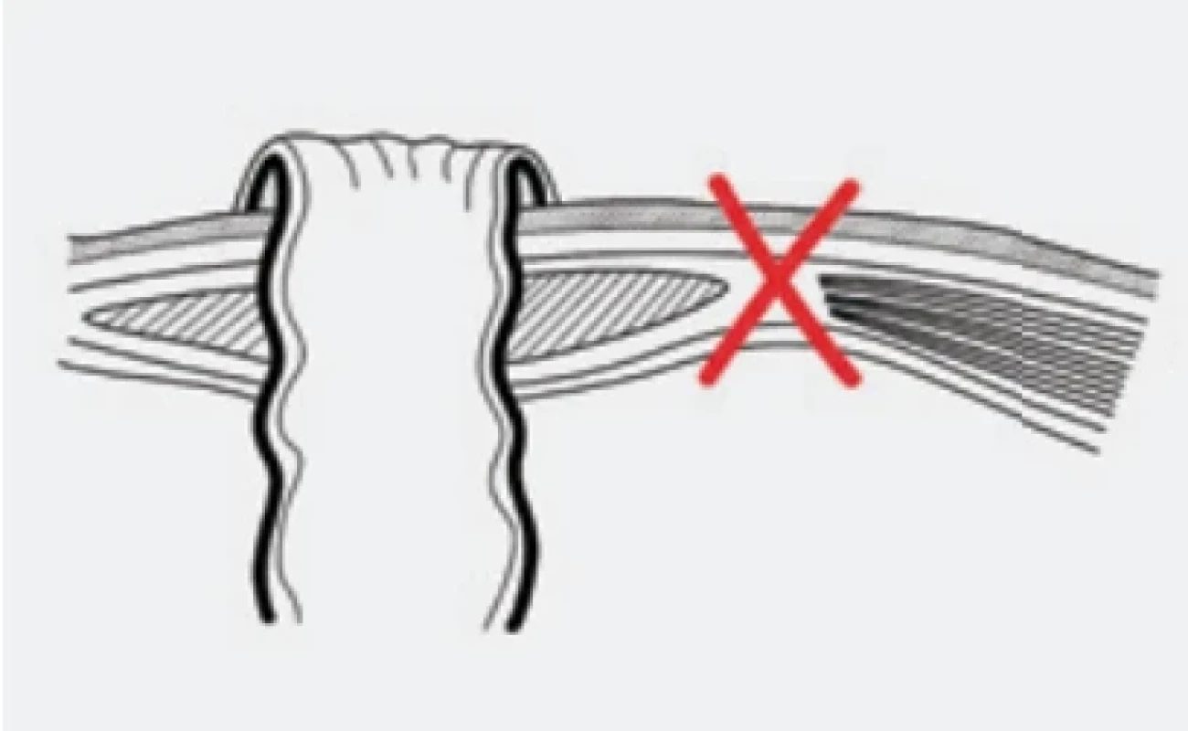  / Fig. 8.