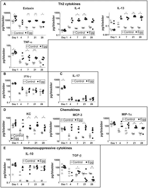 <i>S. haematobium</i> egg-injected bladders demonstrate a local Type 2 immune response.