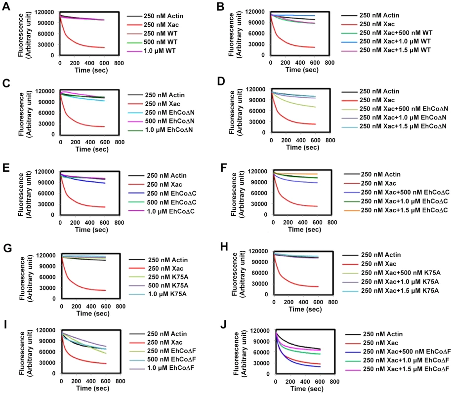 Effect of EhCoactosin on actin depolymerisation.