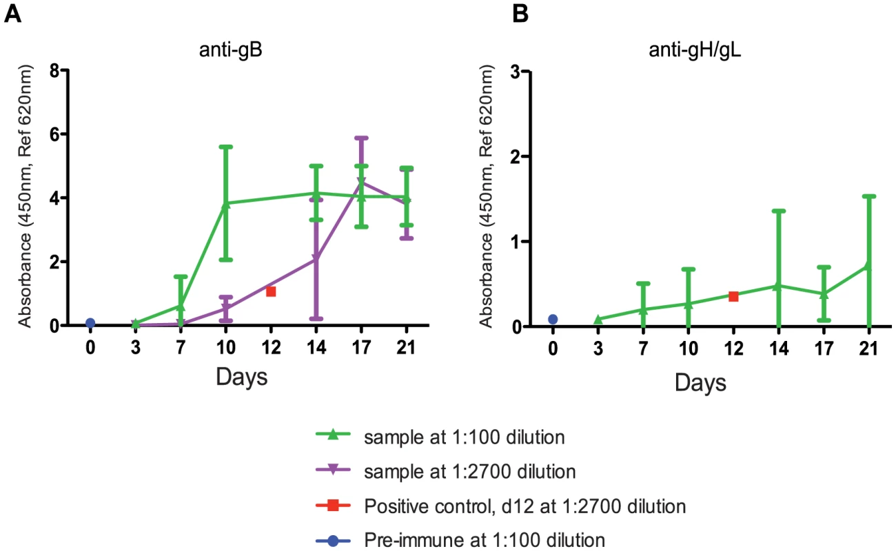 Determination of the timing of seroconversion.