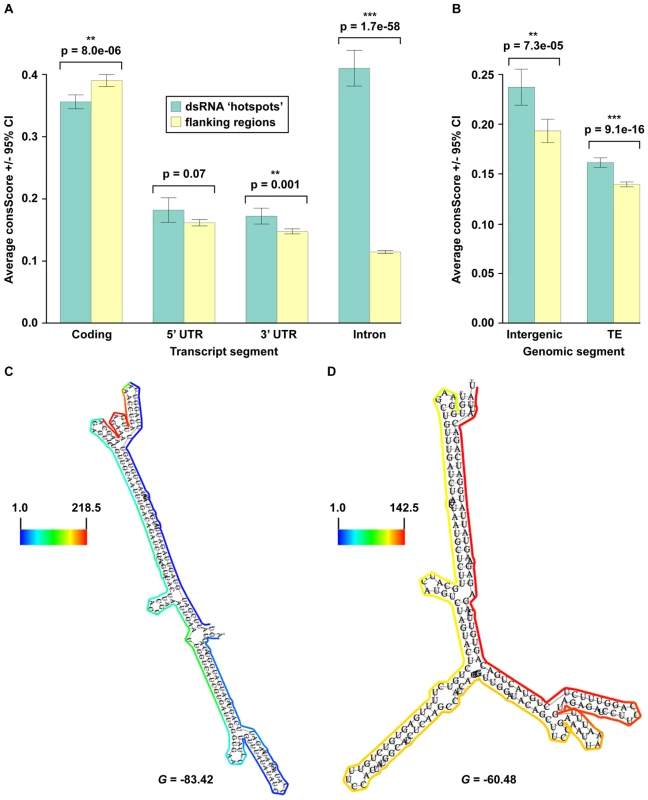 Identification of widespread, conserved functionality within non-coding portions of mRNA (introns, 3′ and 5′ UTRs), intergenic regions, and transposons.