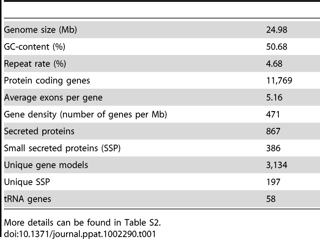 Main features of <i>P. indica</i> genome.