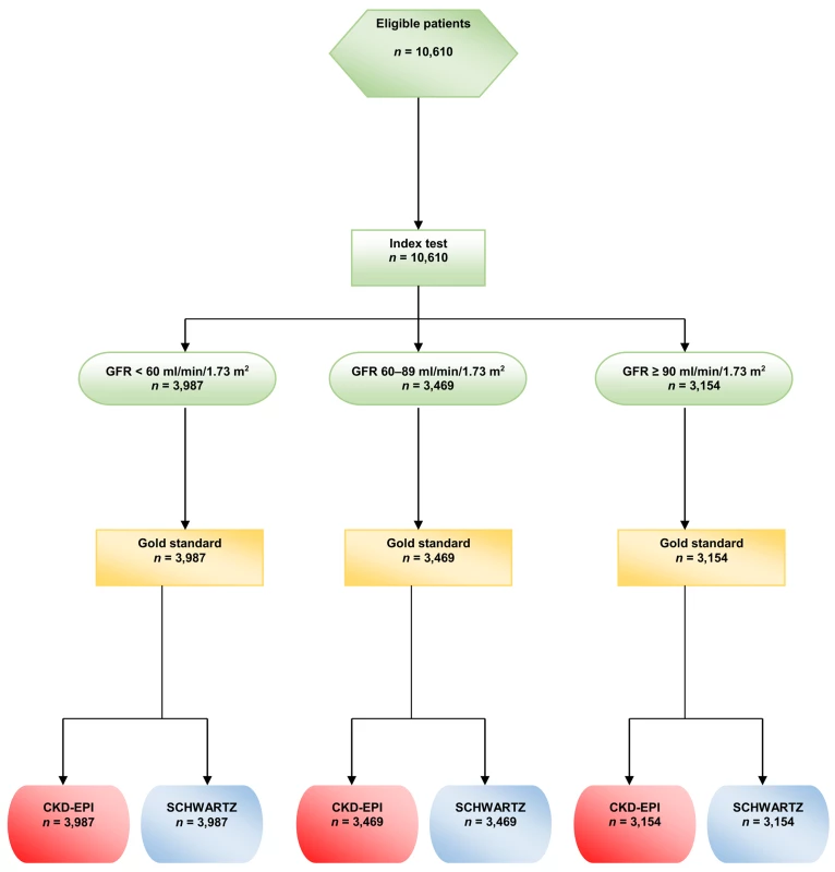 Flow chart of the study.