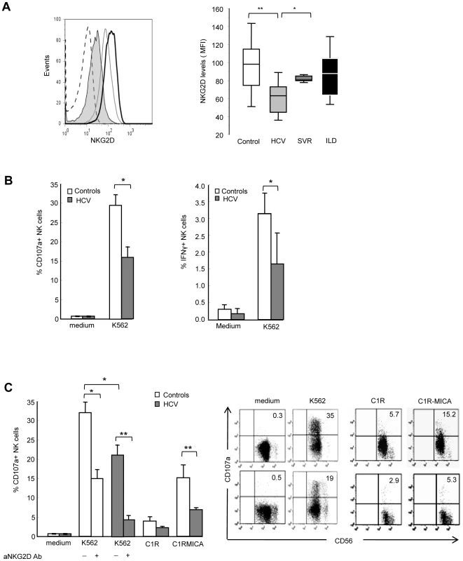 NKG2D levels and NK cell functions are altered in HCV-infected patients.