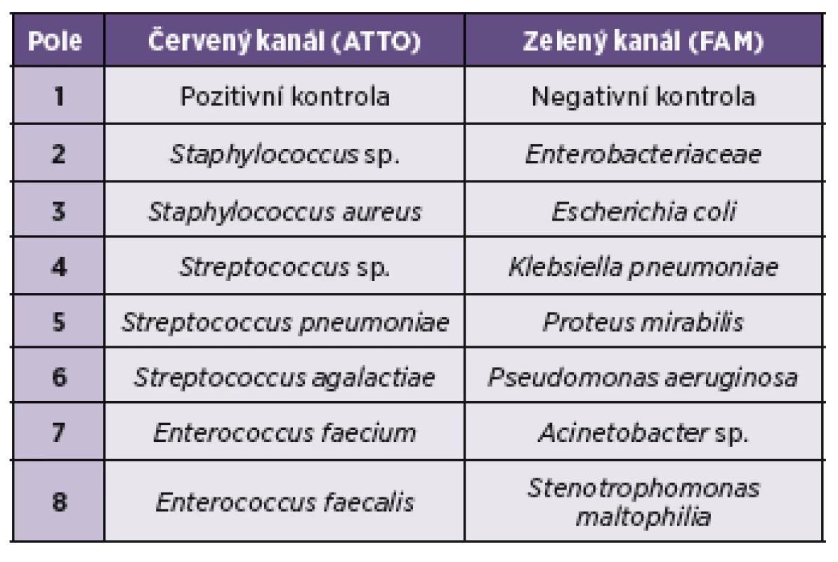 Panelová kompozice HemoFISH Sepsis Masterpanel
Table 1. Composition of HemoFISH Sepsis Masterpanel slides