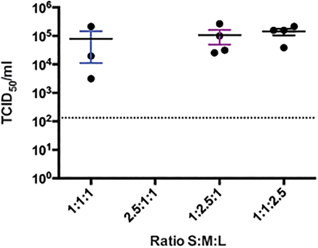 CCHFV rescue efficiency using varying ratios of plasmids producing complementary genome segments in BSR-T7/5.