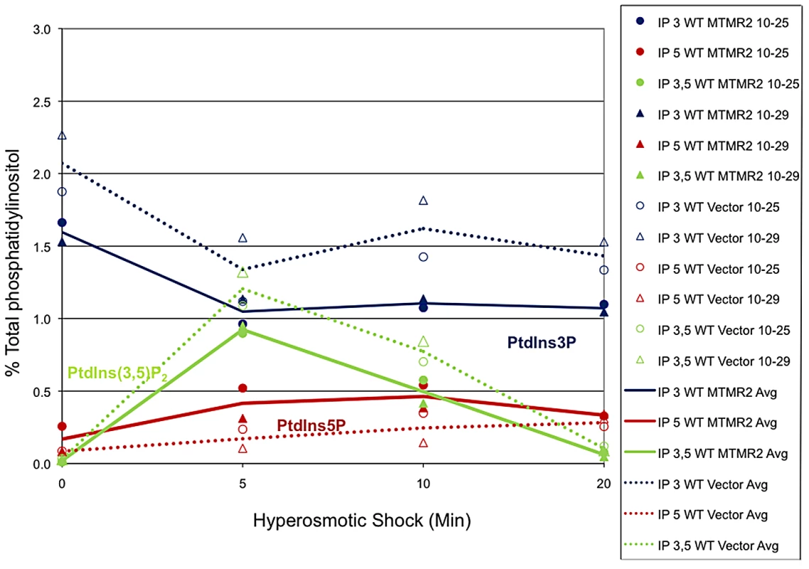 MTMR2 3-phosphatase activity in yeast.