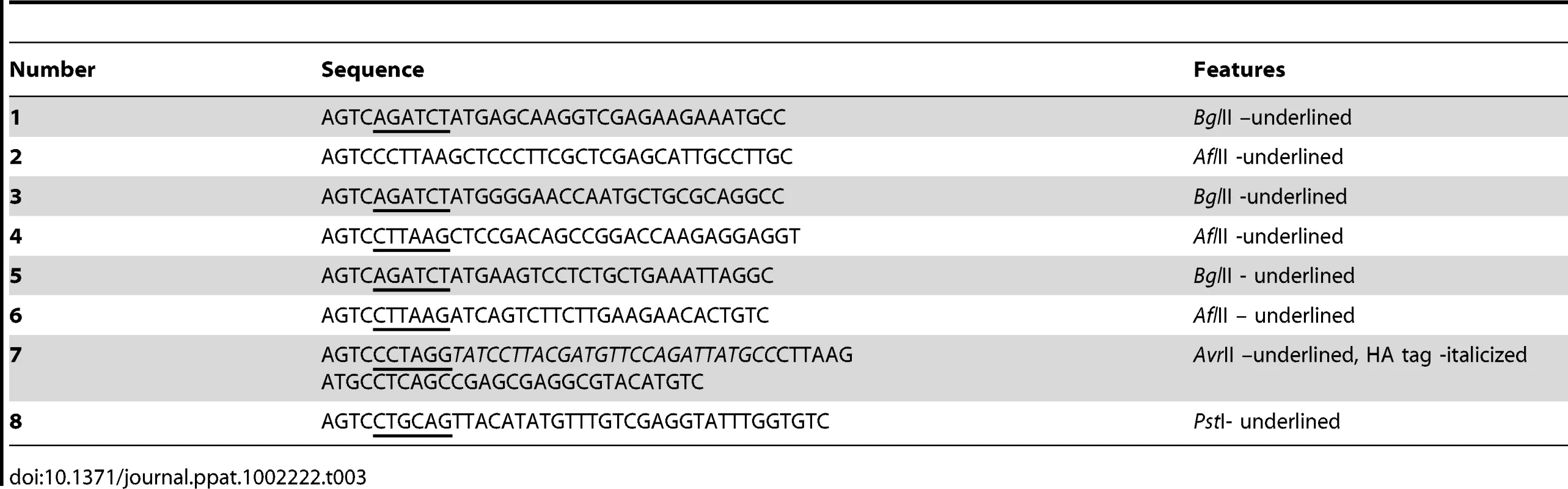 List of primers used in this study.