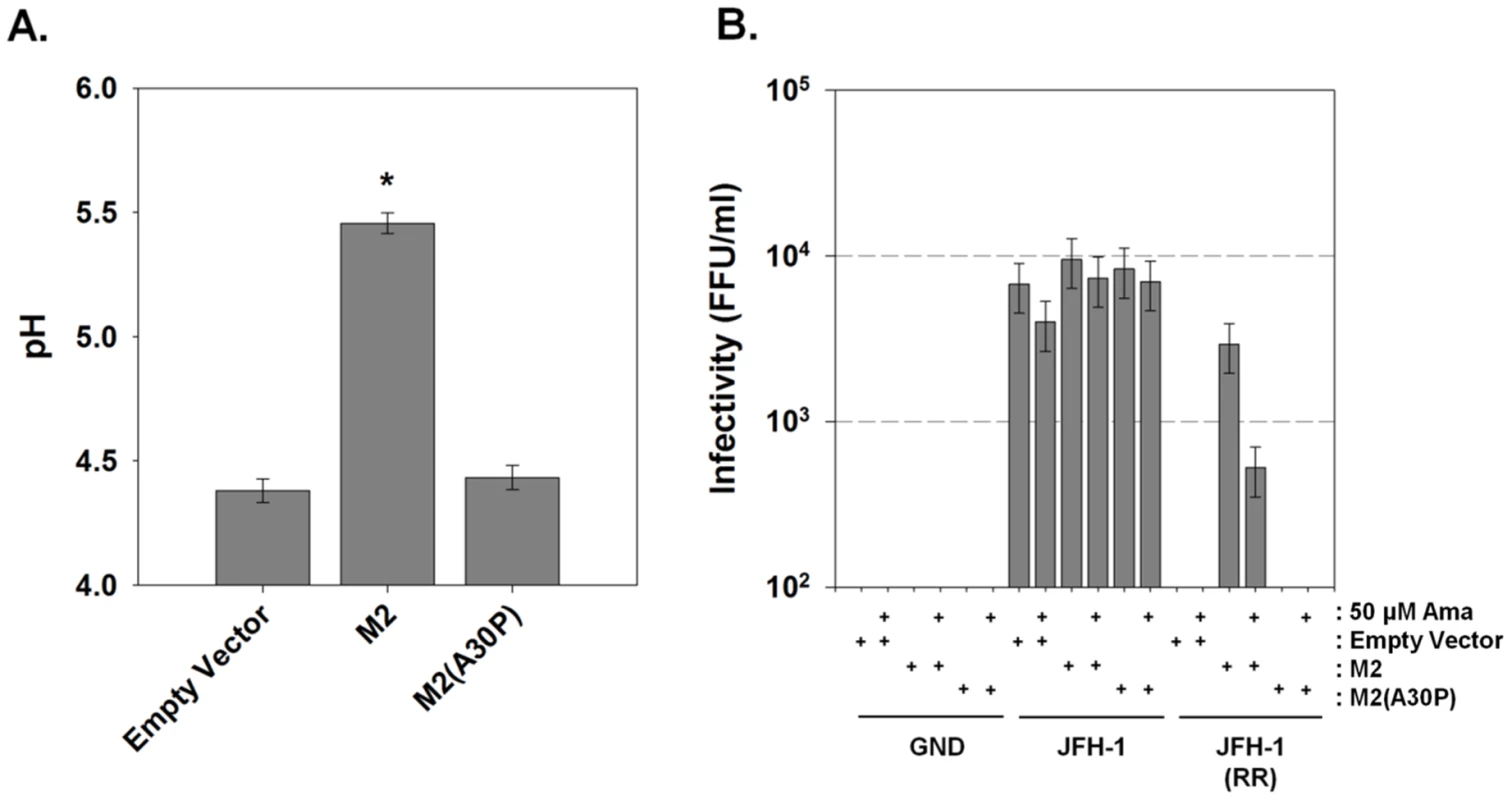 Influenza M2 protein can trans-complement an HCV p7 channel mutant.