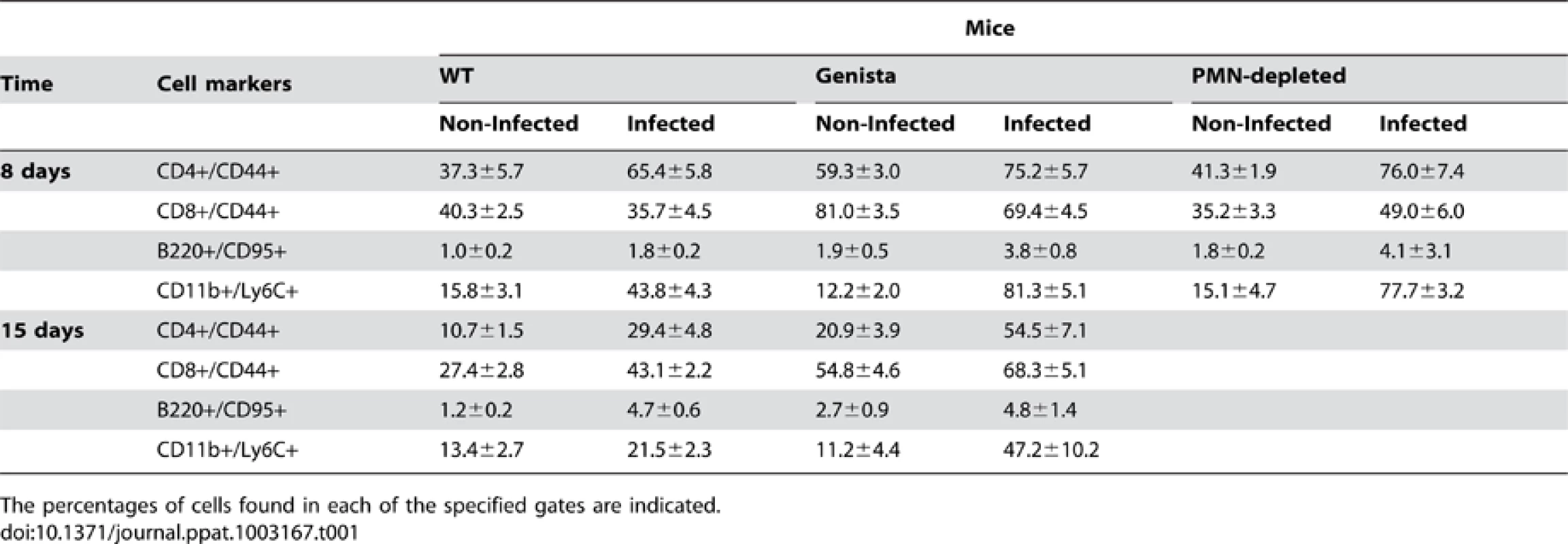Leukocytes in lymph nodes from infected and non-infected WT, PMN-depleted and Genista mice were analyzed by flow cytometry at 8 and 15 days of infection using CD4+/CD44+, CD8+/CD44+, B220+/CD95+, and CD11b+/Ly6C+ cell markers.