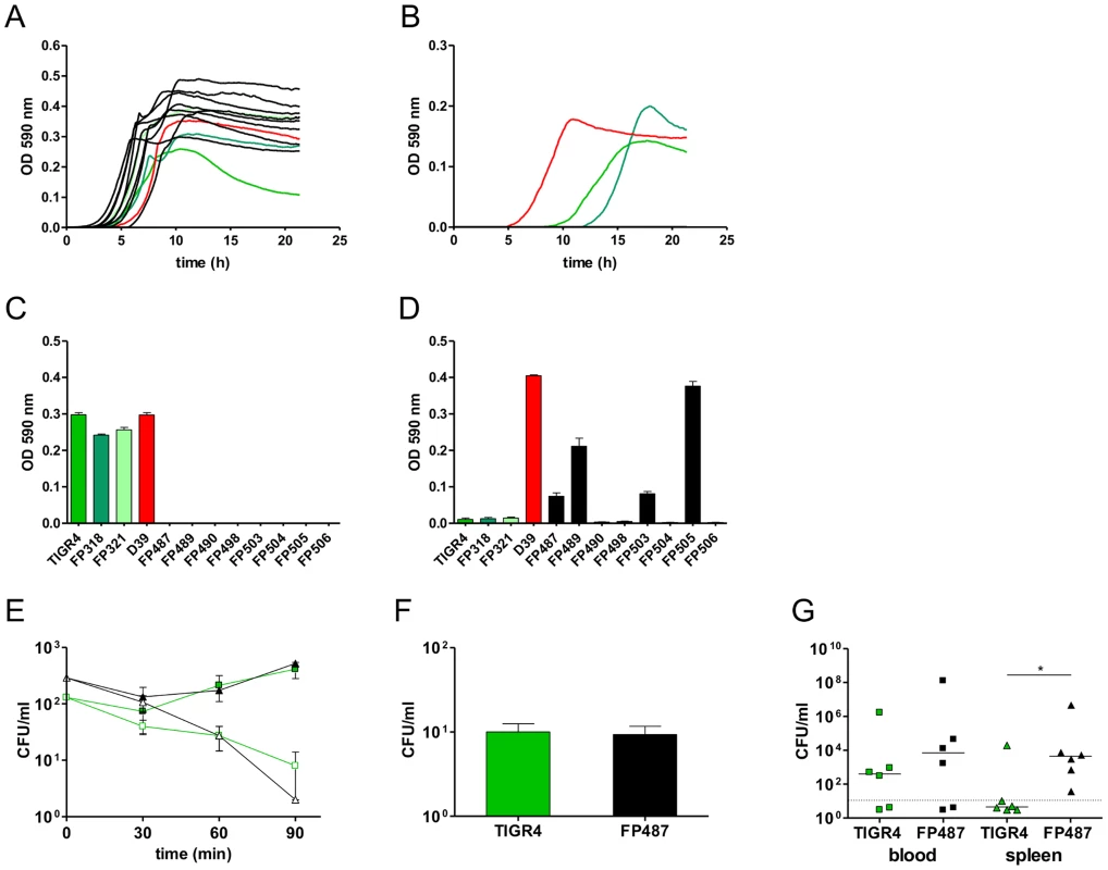 Phenotypes of single-colony blood culture isolates.