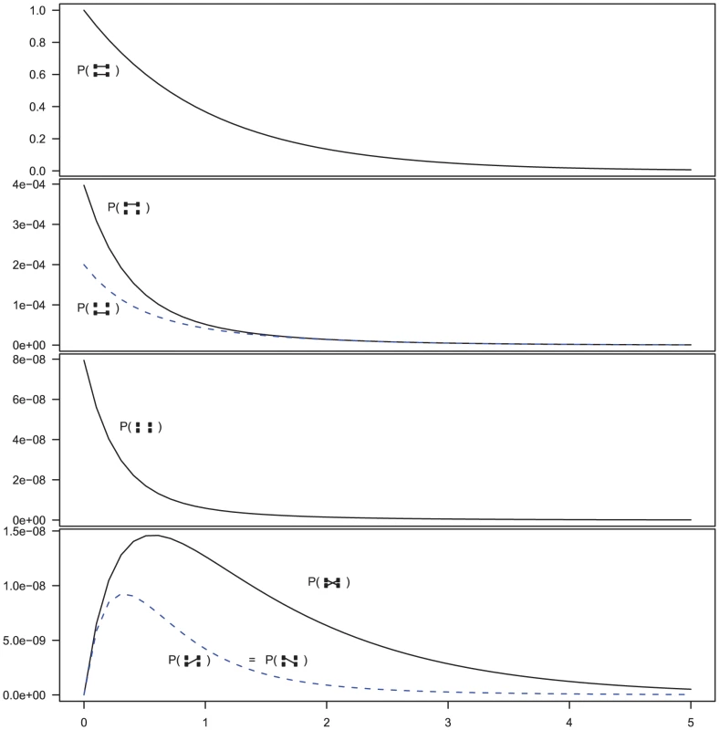 Evolution of  states in the two-sequence CTMC.