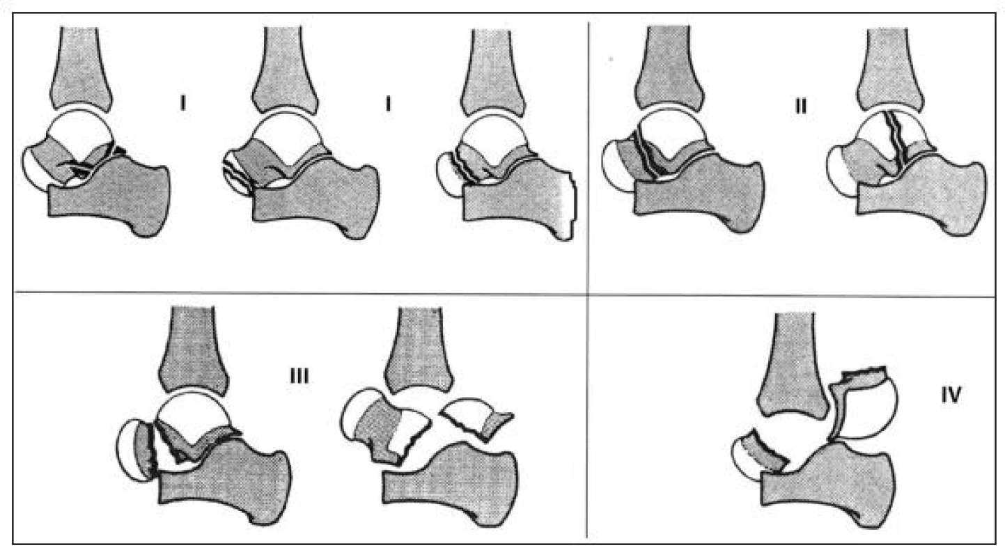 <br>Fig. 1.