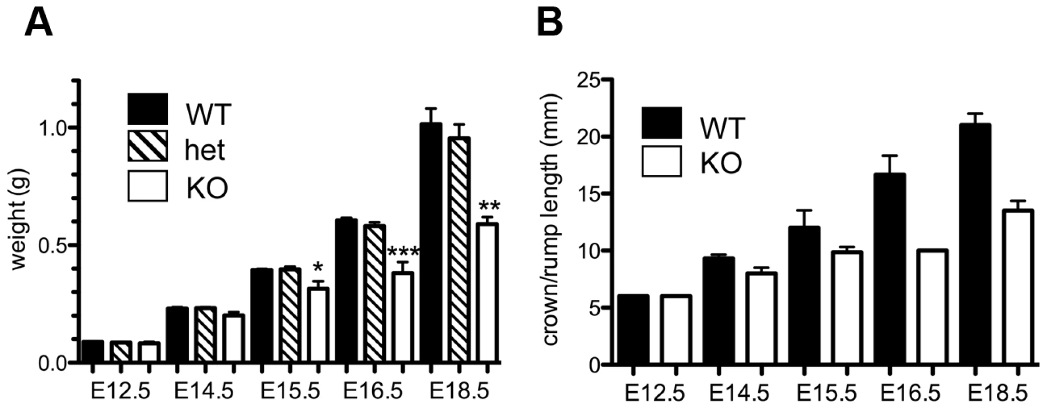 Late gestational growth defect of <i>Asciz</i>-deficient embryos.