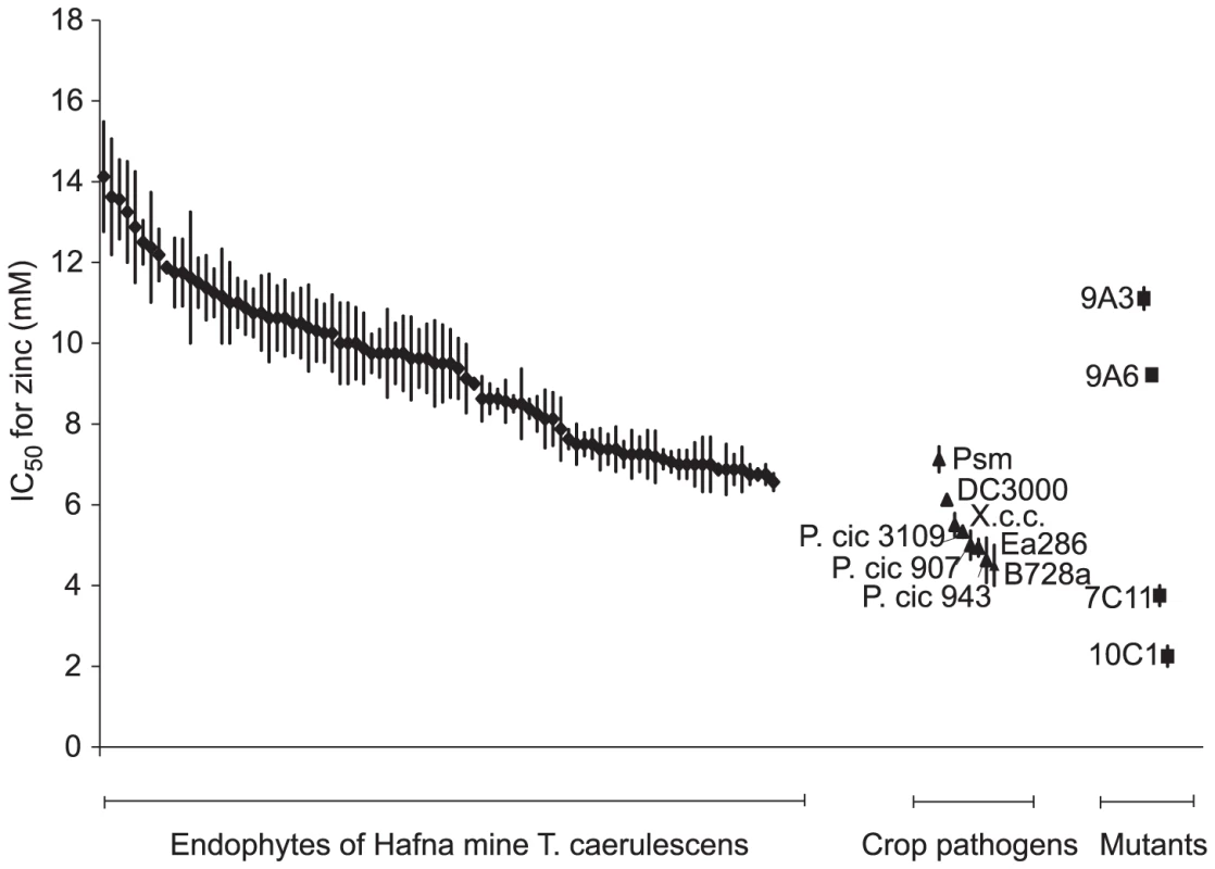Bacterial endophytes isolated from a natural population of <i>Thlaspi caerulescens</i> exhibit high zinc tolerance.