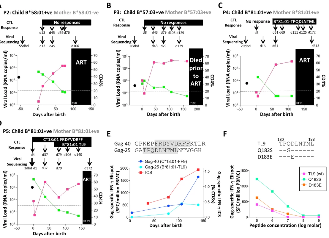 Rapid progression and lack of CTL escape in 4 additional rapid progressor expressing protective HLA-B*57/58:01/81:01.