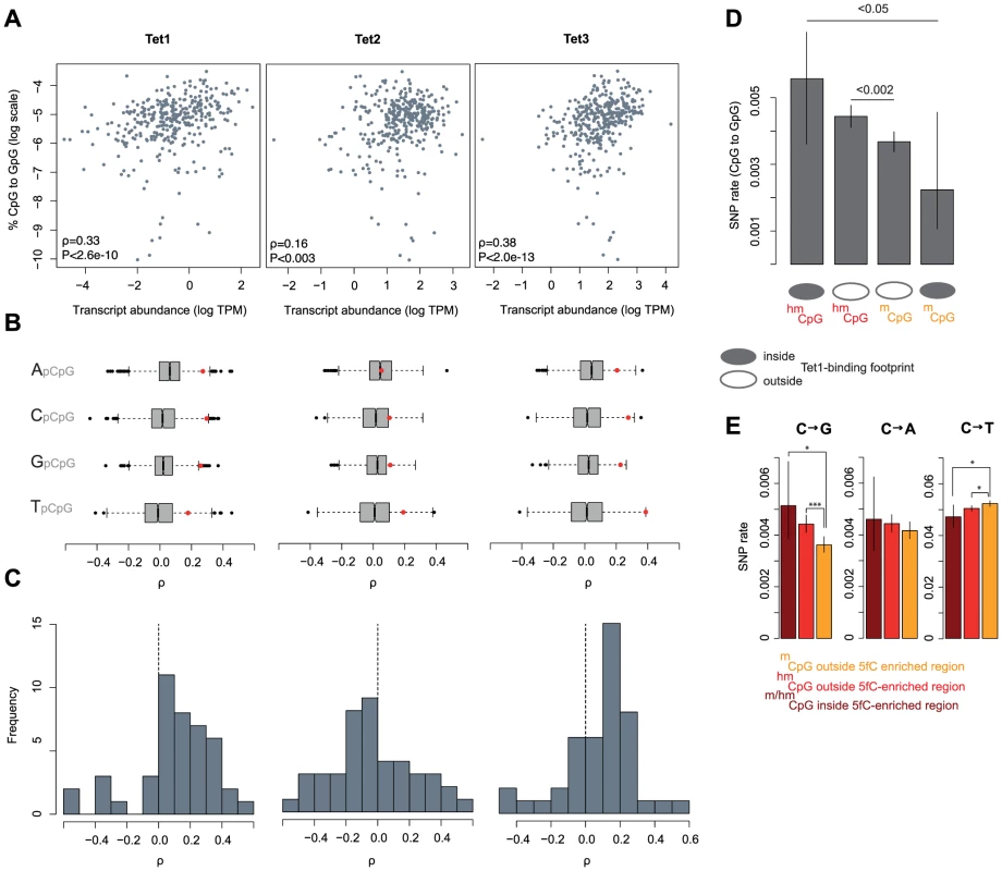 The expression and binding of Tet enzymes correlates with C to G rates.
