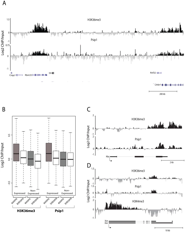 Genomic distribution of Psip1/p52 and H3K36me3.