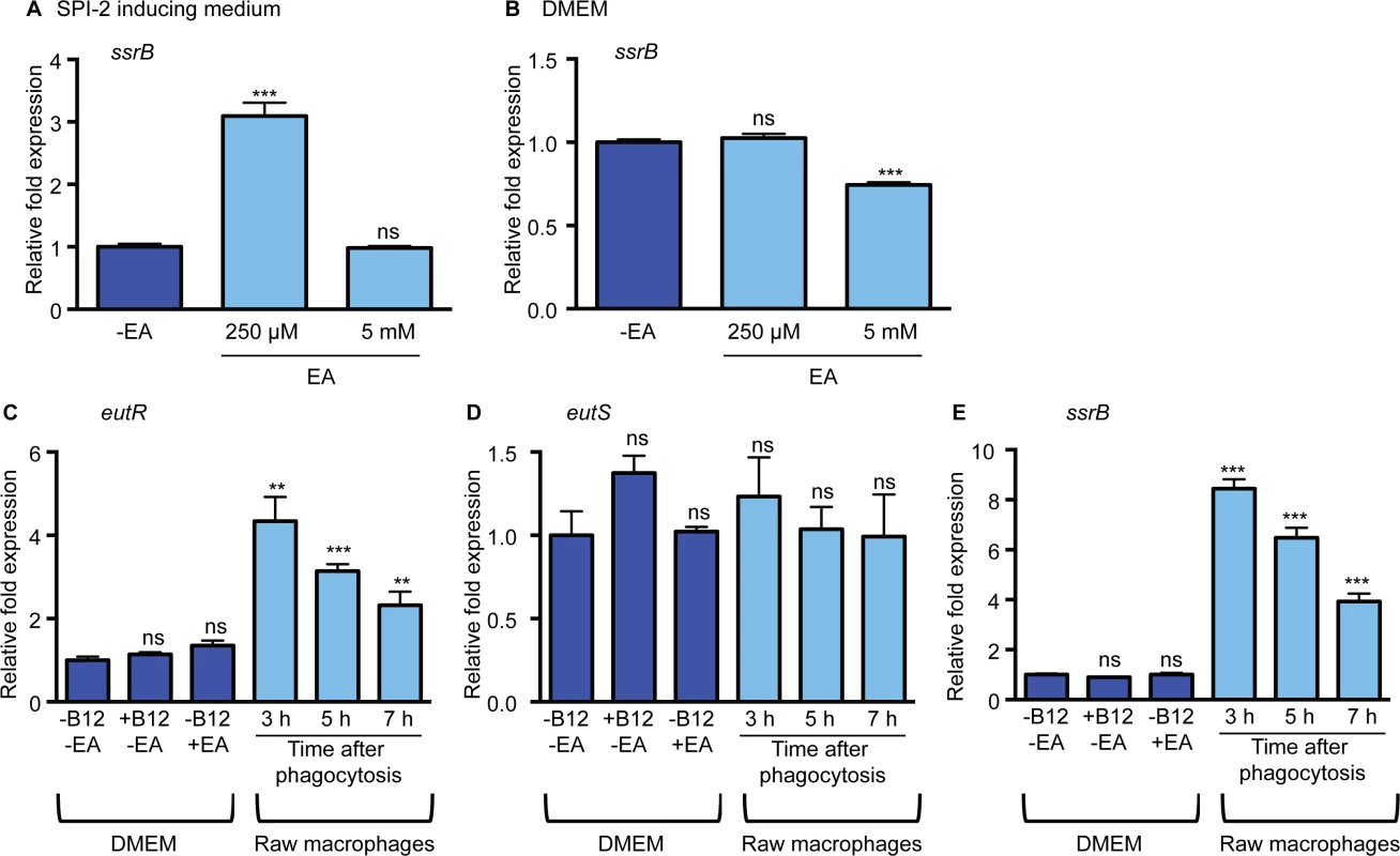 The impact of ethanolamine on SPI-2 expression <i>in vitro</i>.