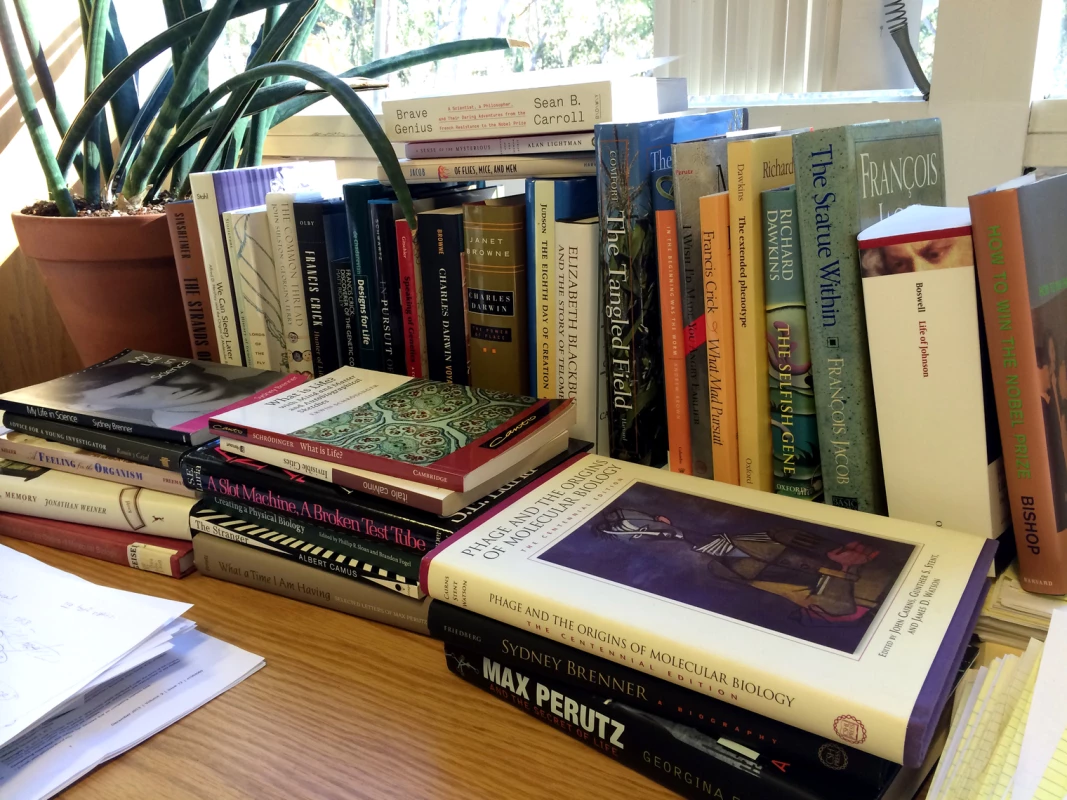 Some books consulted in the writing of this piece.