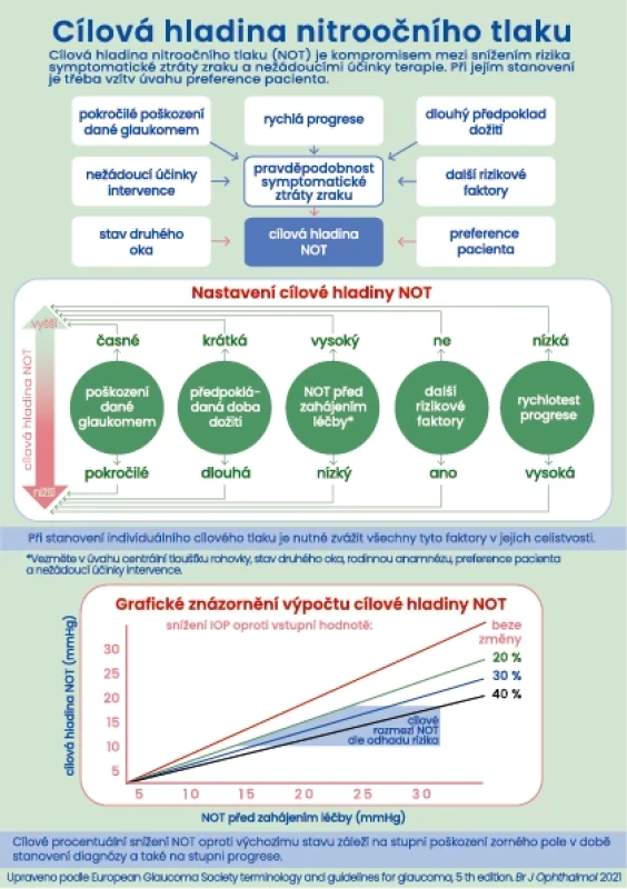 Determining the target intraocular pressure in glaucoma therapy