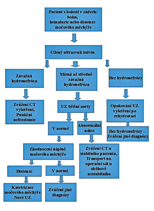 Algoritmus pro ultrazvukové vyšetření u pacienta s bolestmi v zádech/boku, hematurií nebo retencí moče