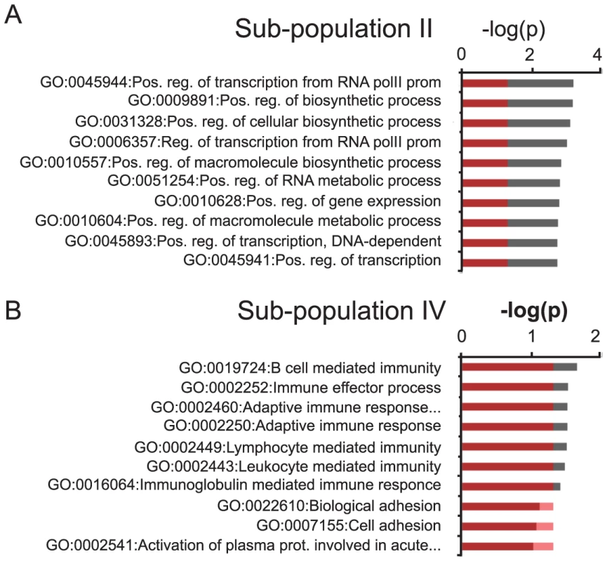 GO-analysis of specific subgroups.